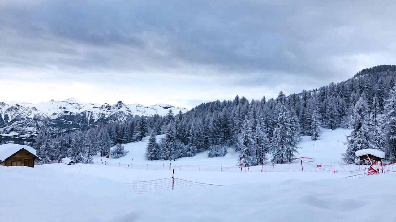 Les Chalets Du Parc Aux Etoiles - Cimes Et Neige Appartement Puy-Saint-Vincent Buitenkant foto